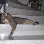 Wohlfühlen mit Granit